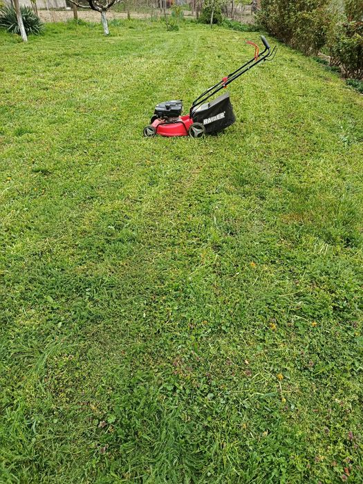 Самоходна бензинова косачка Raider Rd-glm13