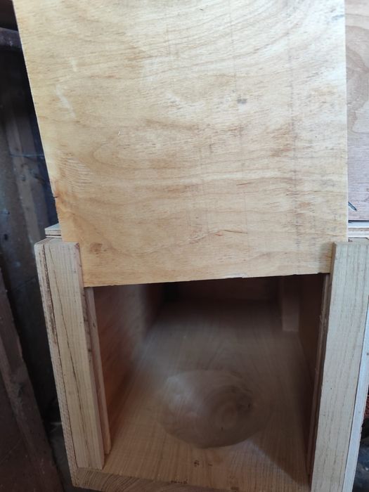 Cuiburi papagali și veverițe