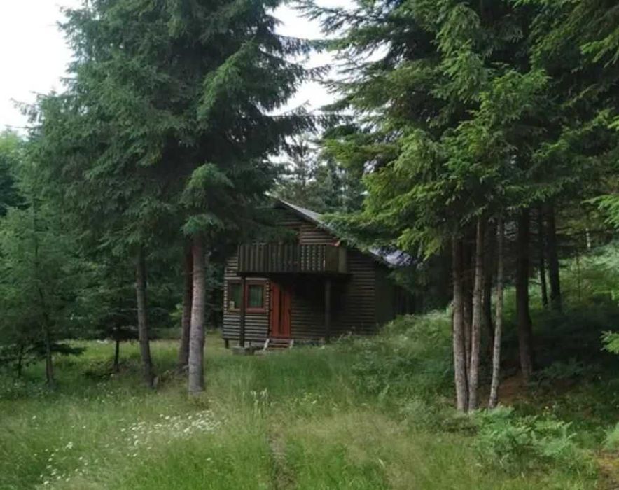 TEREN zona de munte Calatele-Cluj