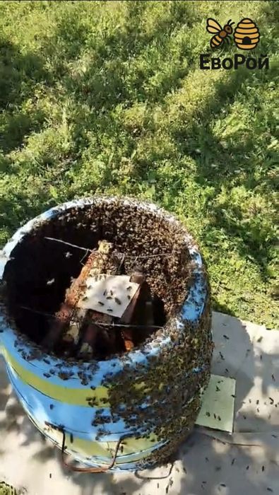 ЕвоРой - примамка за пчелни рояци