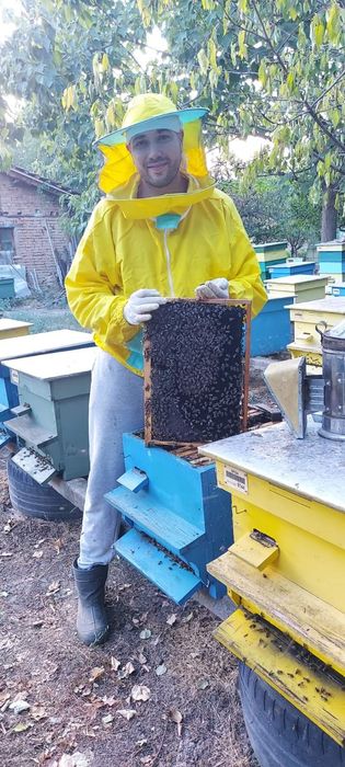 НАТУРАЛЕН Пчелен мед