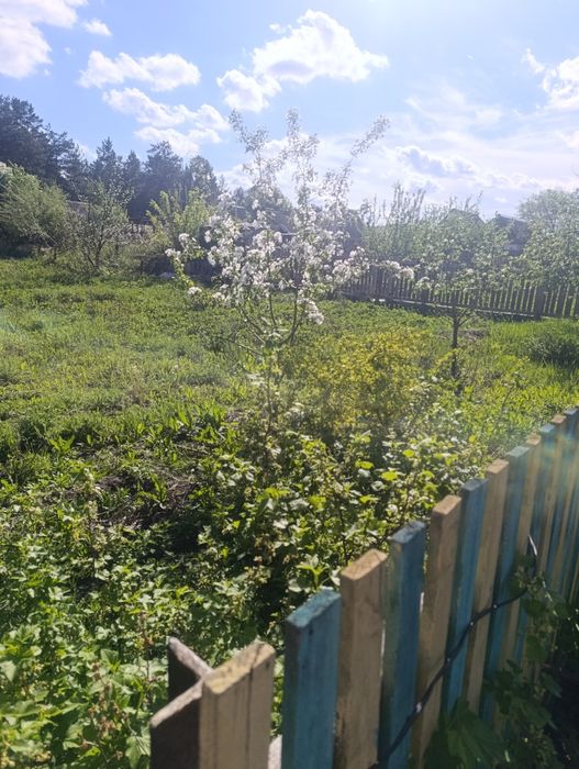 Продам дачу мелиоратор 4сотки