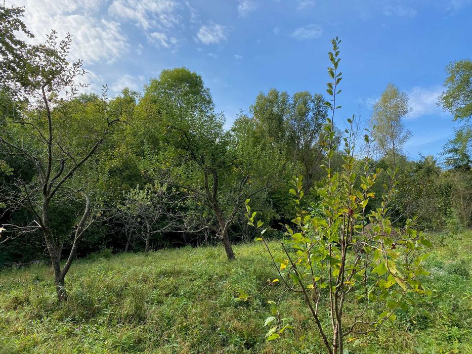 Vand teren Breaza, 10.000 mp