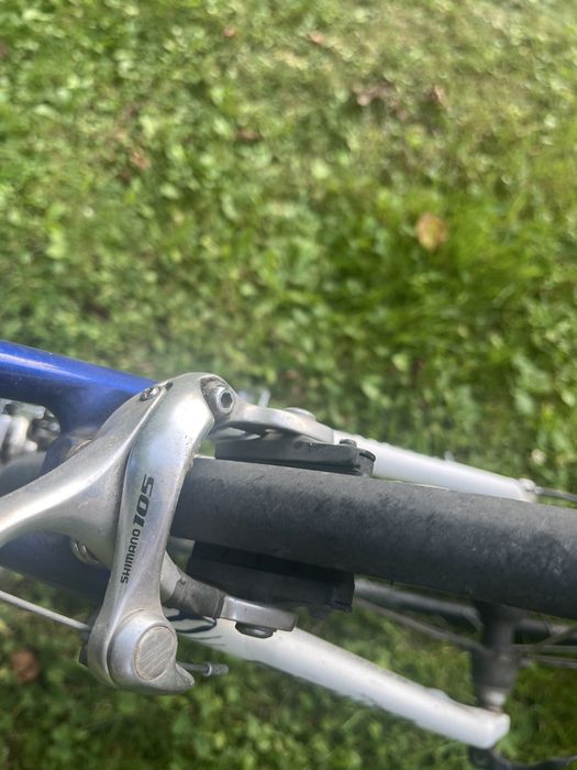 Cursiera Specialized Elite