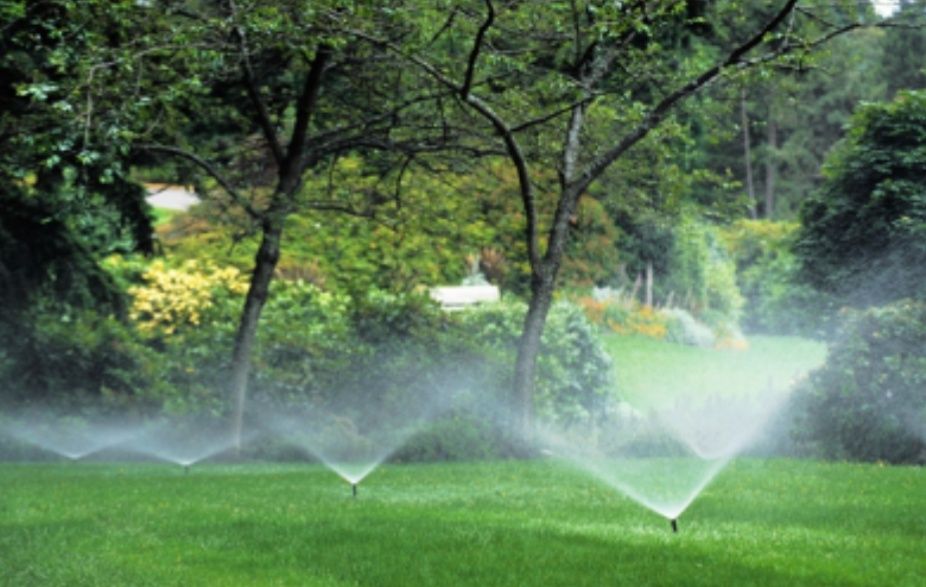 Газон Автополив Ландшафт дизайн