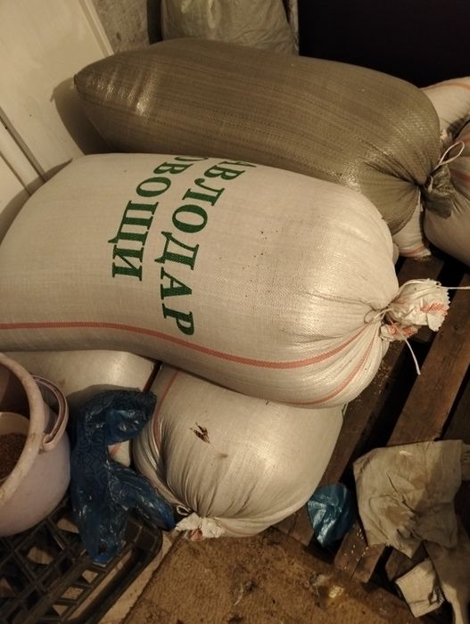 Продам пшеницу в мешках.