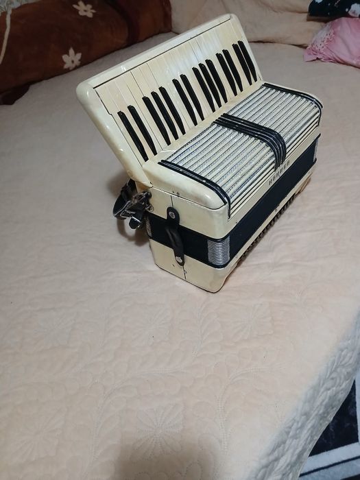 Vând Acordeon Hohner Verdi2