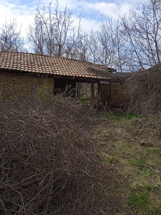 Дворно място със стара къща.