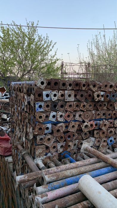 Струпцина данкрат