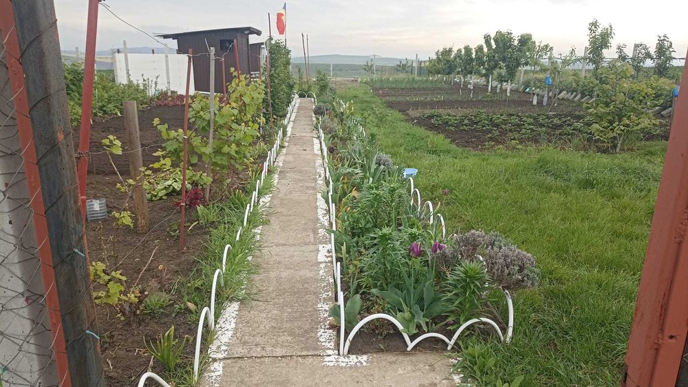 Teren Intravilan 470 mp – Horlești, Comuna Rediu (Proprietar)