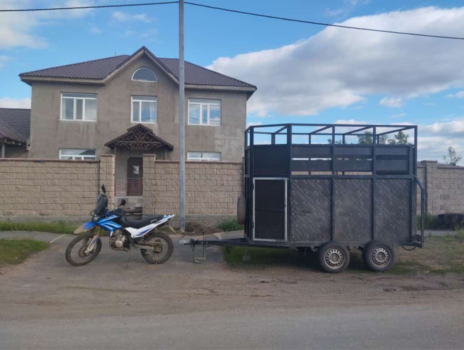 Услуга коневозка услуги перевозка