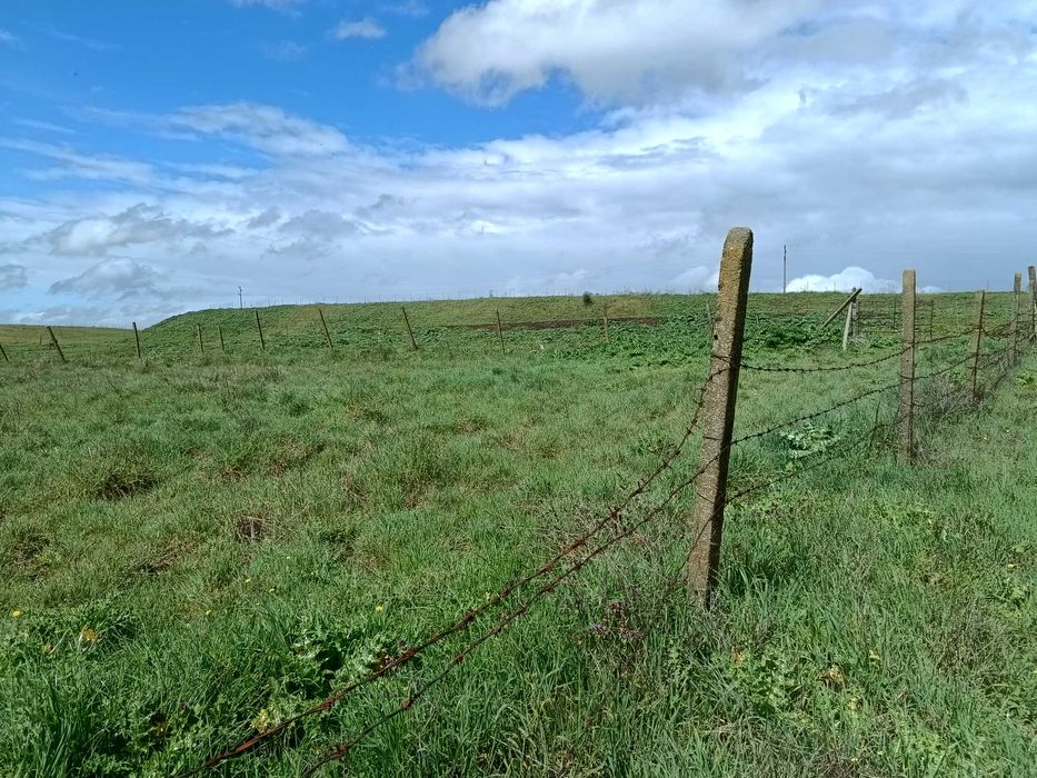 Дворно място -Капитан Андреево