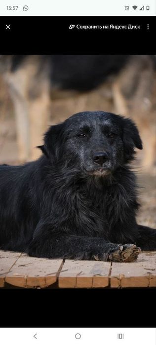 кОмпаНьеНы сТорожа ОхраНиики