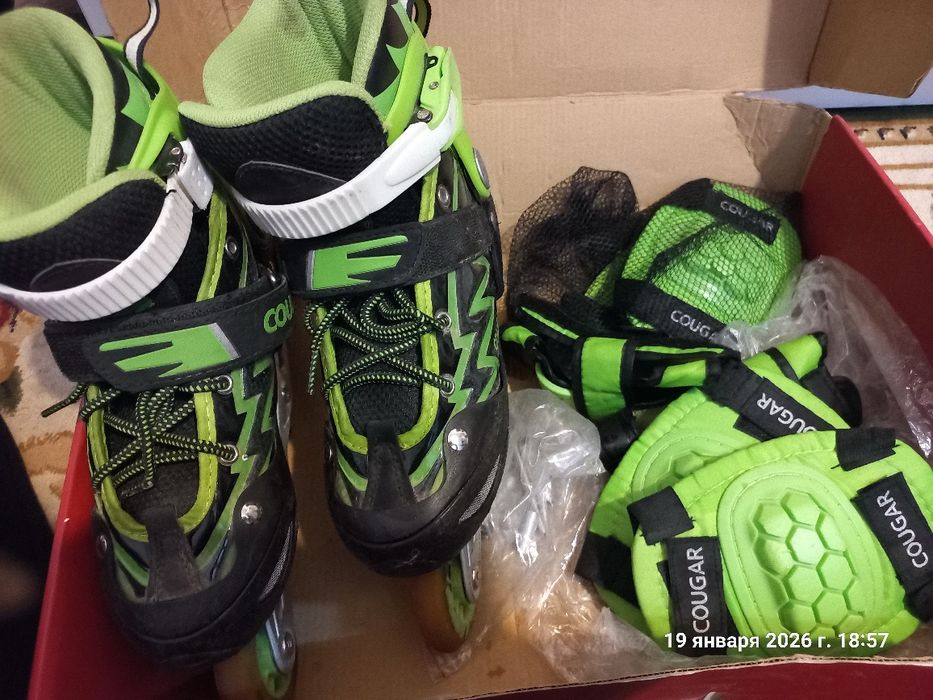 Ролики COUGAR б/у  размер 34-37