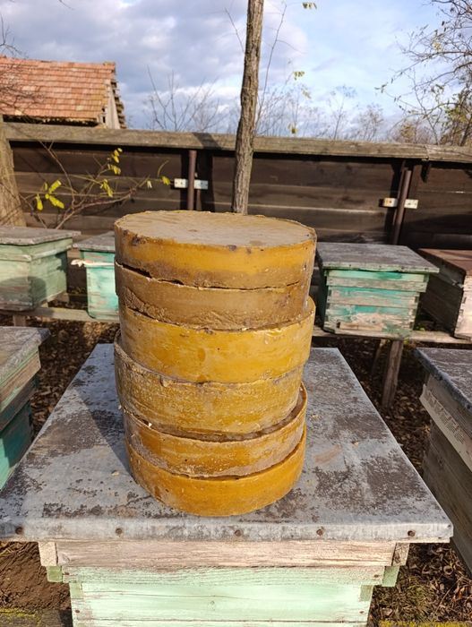 Ceară de albine producție 2025