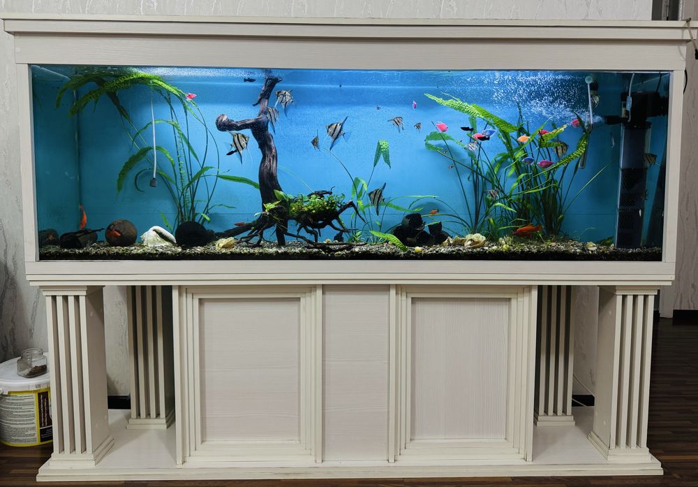 Аквариум для дом