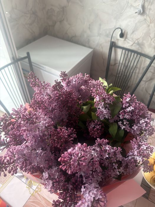 Сирень сегодняшнии