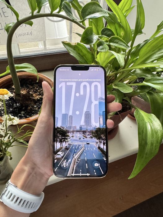 Iphone 13 pro max 256 gb