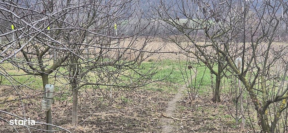 Casa cu teren 4000 mp in Bogei, Bihor