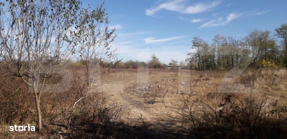 Teren 7240mp, zona Prelungirea Panduri