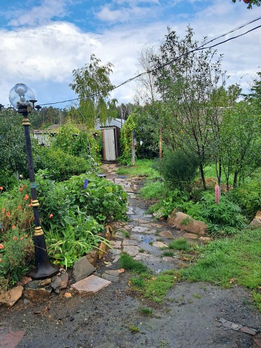 Продам уютный дом у леса ,