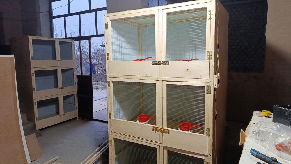 Dakan Qafaslar sotiladi