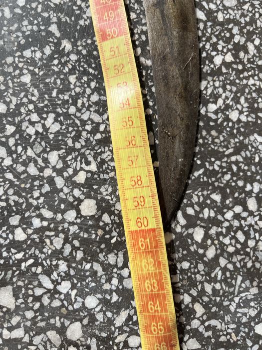 Sabie Din Primul Razboi Mondial