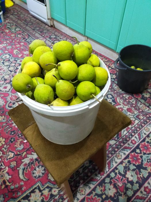 Продам груши сладкие классные