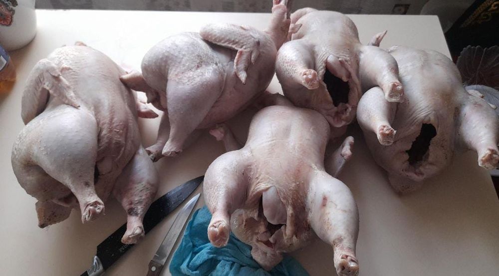 Продам мясо бройлеров
