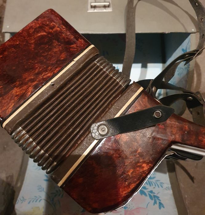 Детски акордеон мальш със кутия малиш