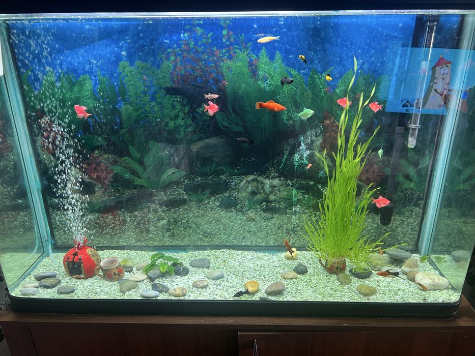Аквариум 320 литров продаю, размер 120/40
