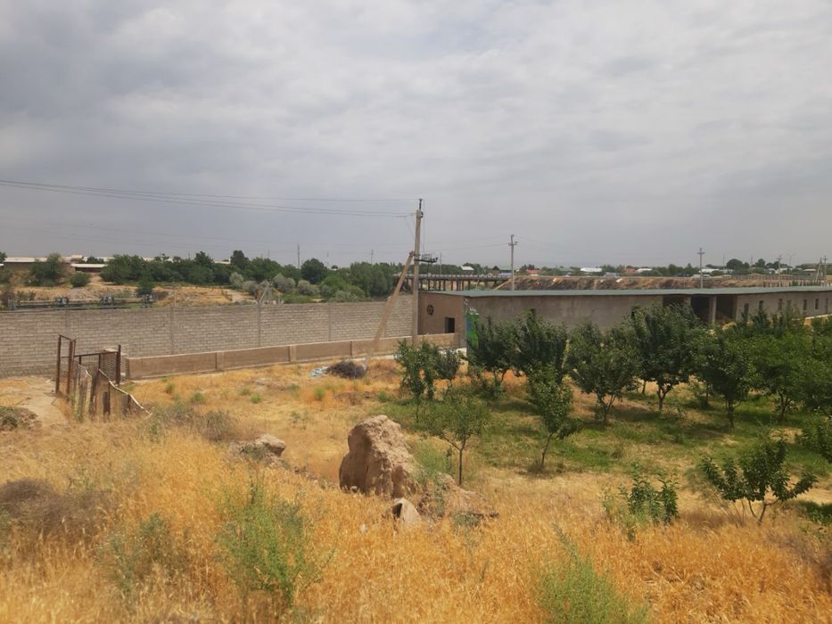 Ер сотилади (тайер бинолари хам мавжуд) 1 гектар