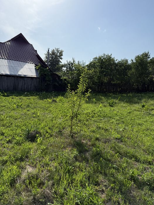 Casa CENTRU + anexe + teren 1400mp Manastirea casin Bacau Onesti