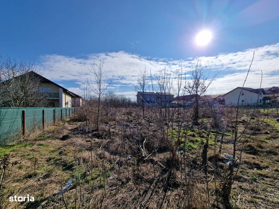 Auchan-Teren intravilan 1250mp