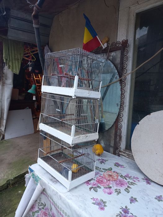 Set colivii de cântec