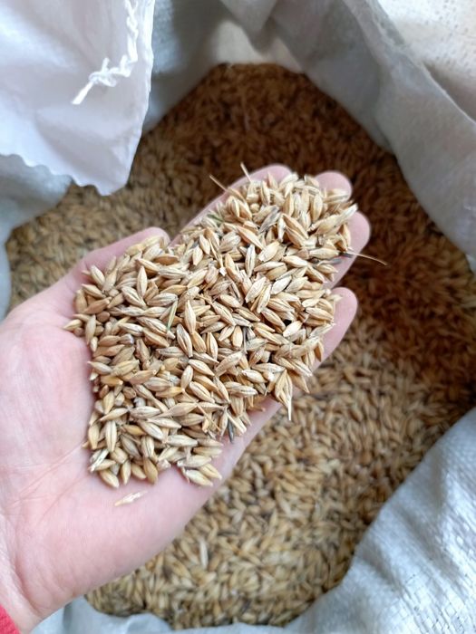 Бидай/Арпа/Жармалар/Ұн