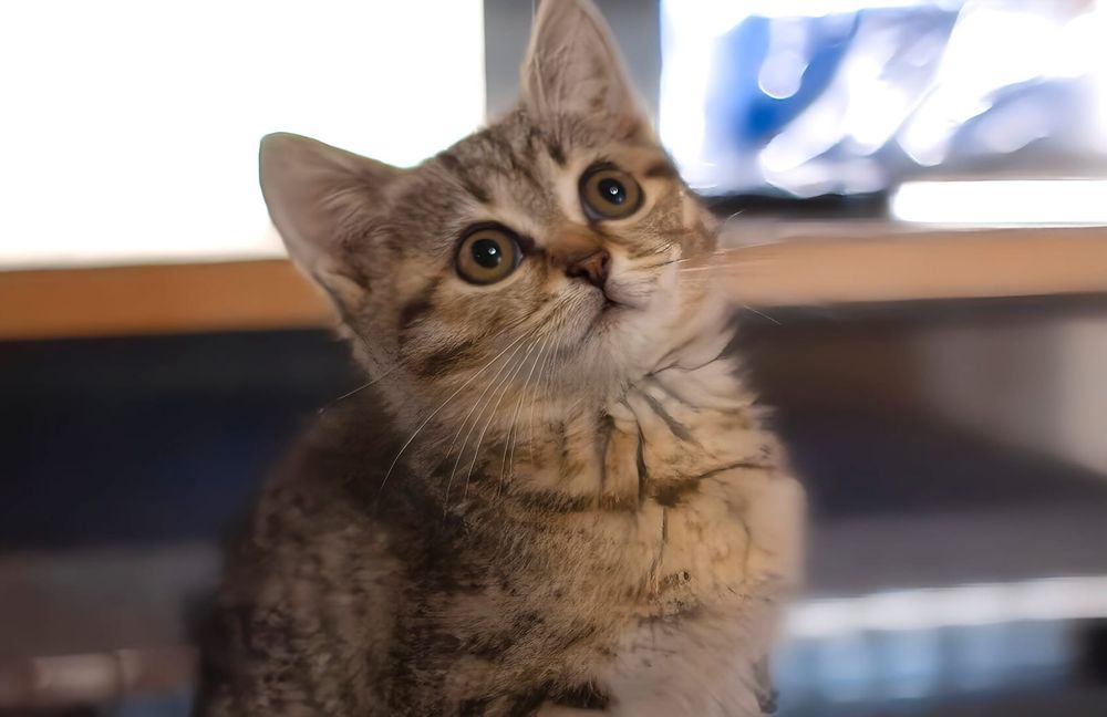 Малышка Феодосия ,ей 3,5 месяца