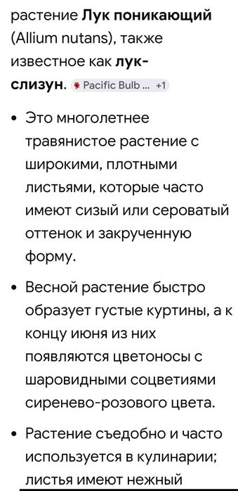 Лук - слизун съедобный