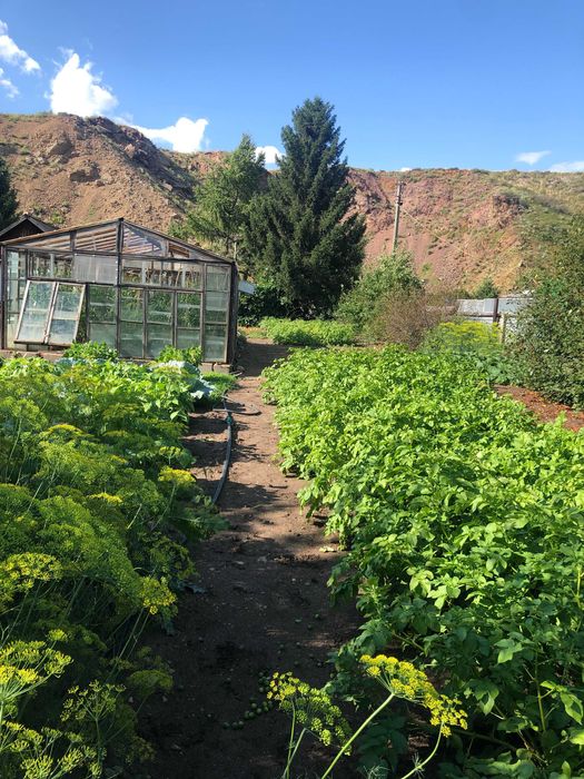 Продам  дачу (железнодорожные дачи)