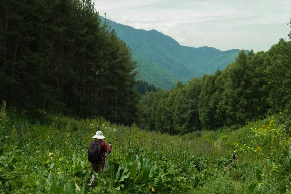 Обьектив Sigma 30mm F1.4 dc dn.