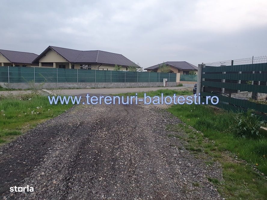 Vanzare teren Balotesti-Lahovari,strada Cameliei,intre case,31000 euro