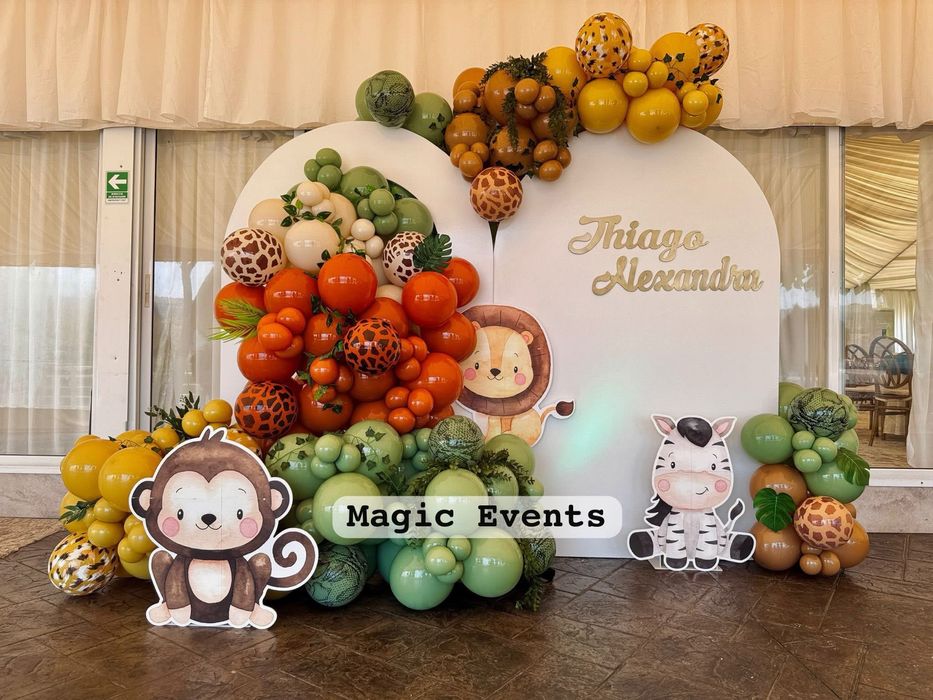 Tematica disney - fum greu - platforma 360 - decoratiuni florale/baloa