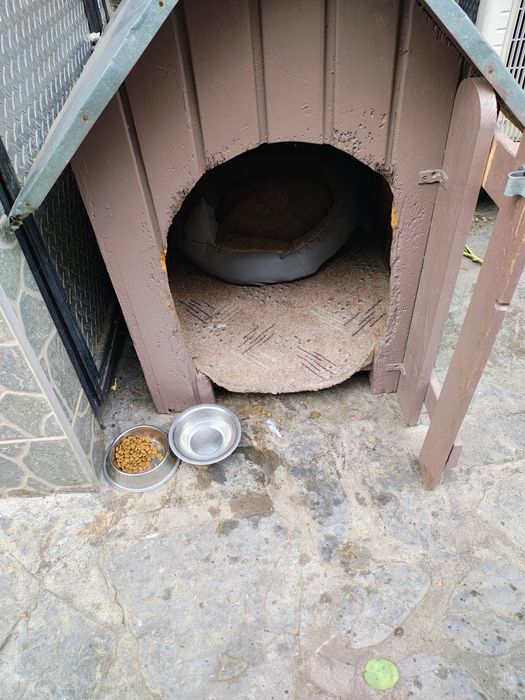 Casa de lemn pt cățel