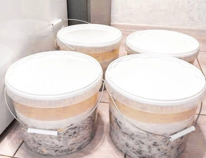 Наурыз коже,бауырсак,плов