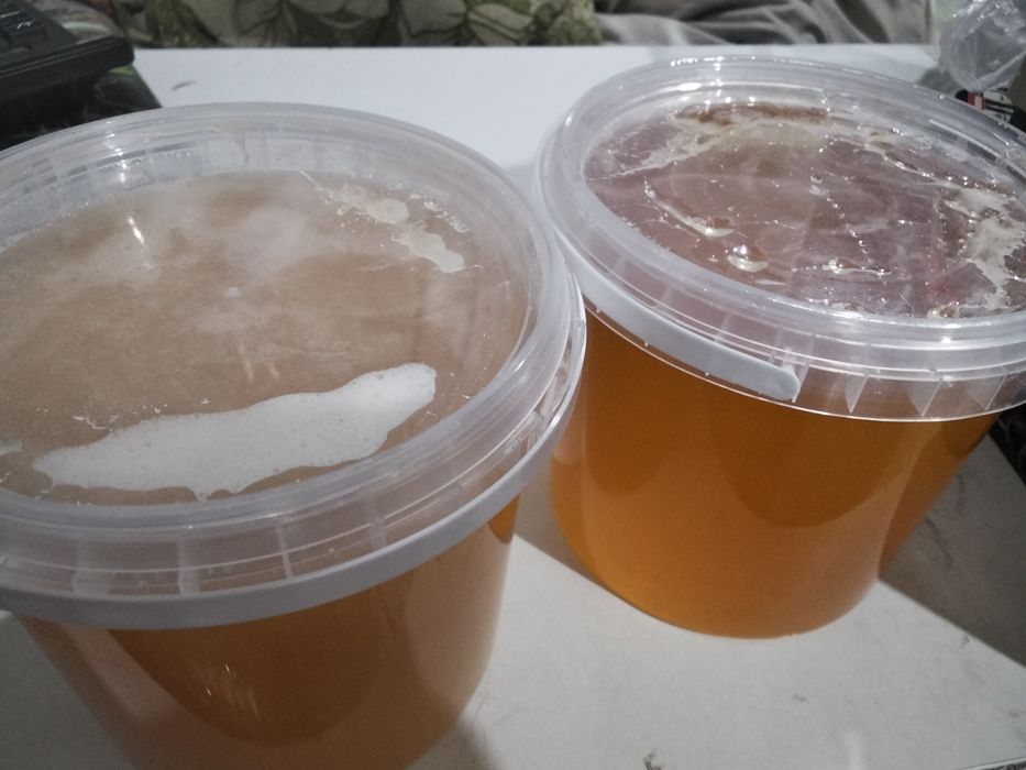 Бал Әсел Мёд Таза