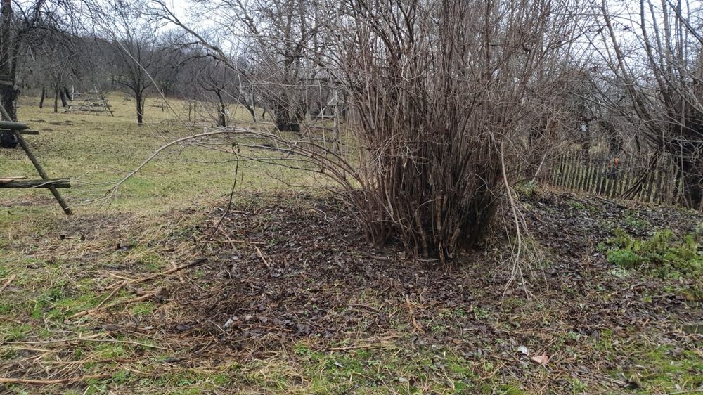 Teren în Comuna Secaria pret 18.500 euro