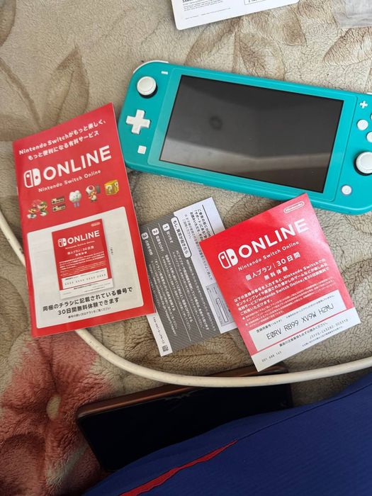 Nintendo switch lite