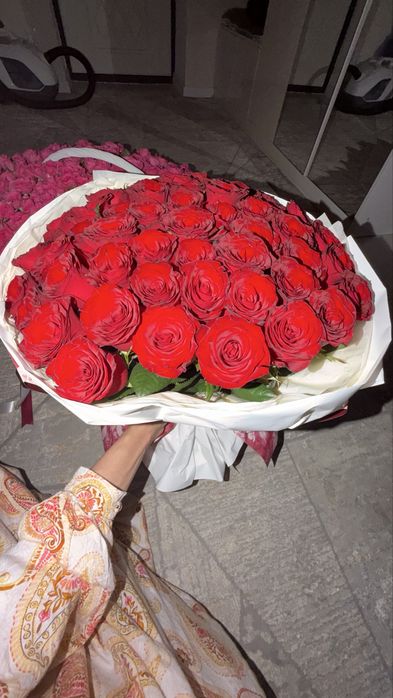 Свежие розы, цветы.