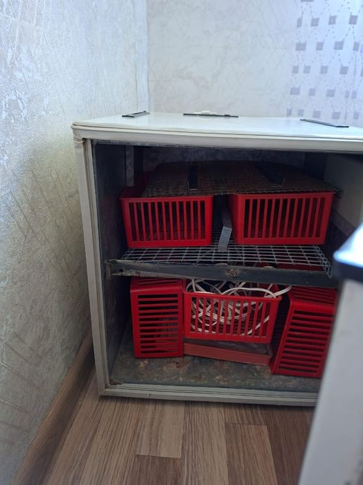 Продам инкубатор. Недорого. Отсутствуют градусник.