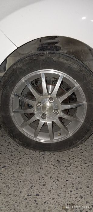 Sakadiska 15 lik sotiladi